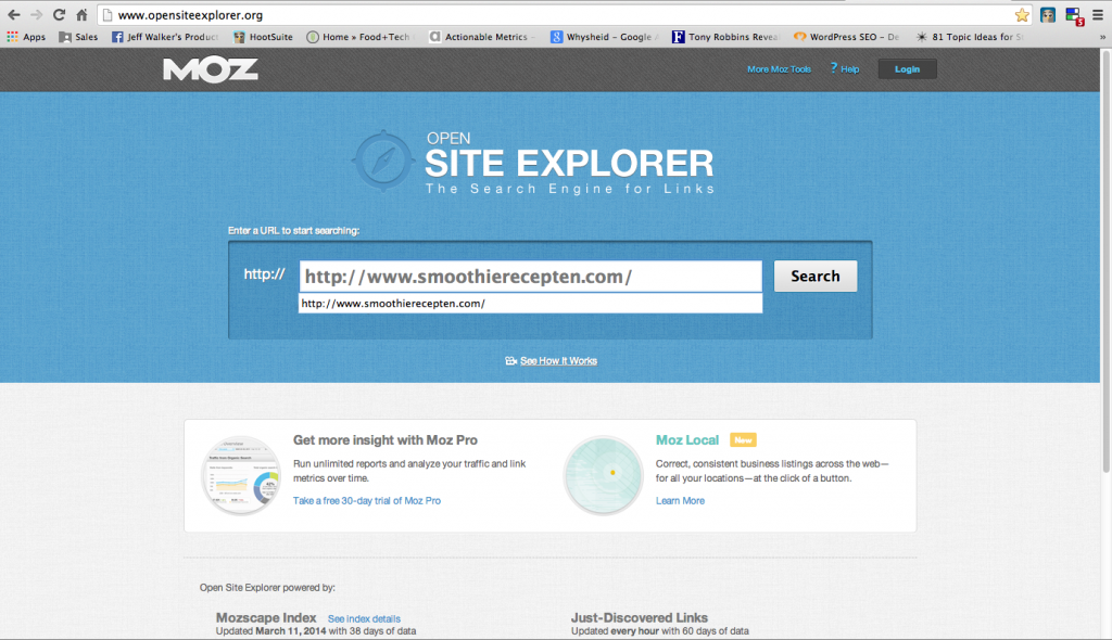 Open Site Explorer search